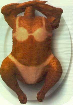 thanksgiving-sunbathing-turkey
